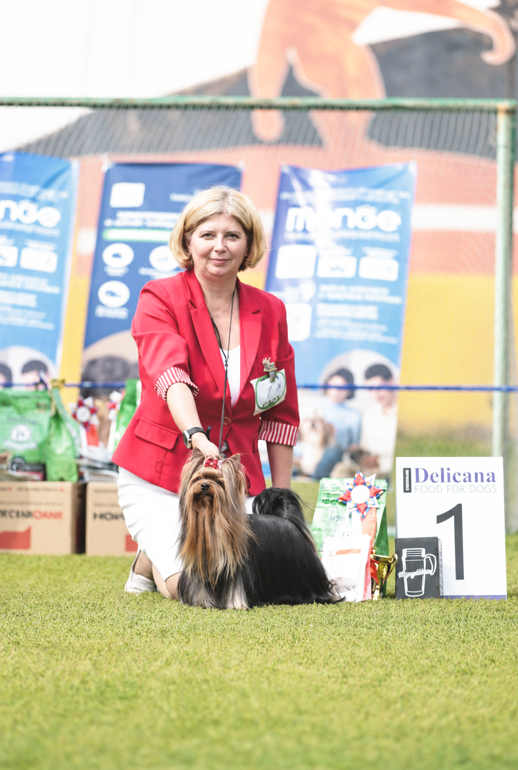 BOMAR STAR JEAN MISHEL &mdash; Labaza DogPedigree YorkshireTerrier